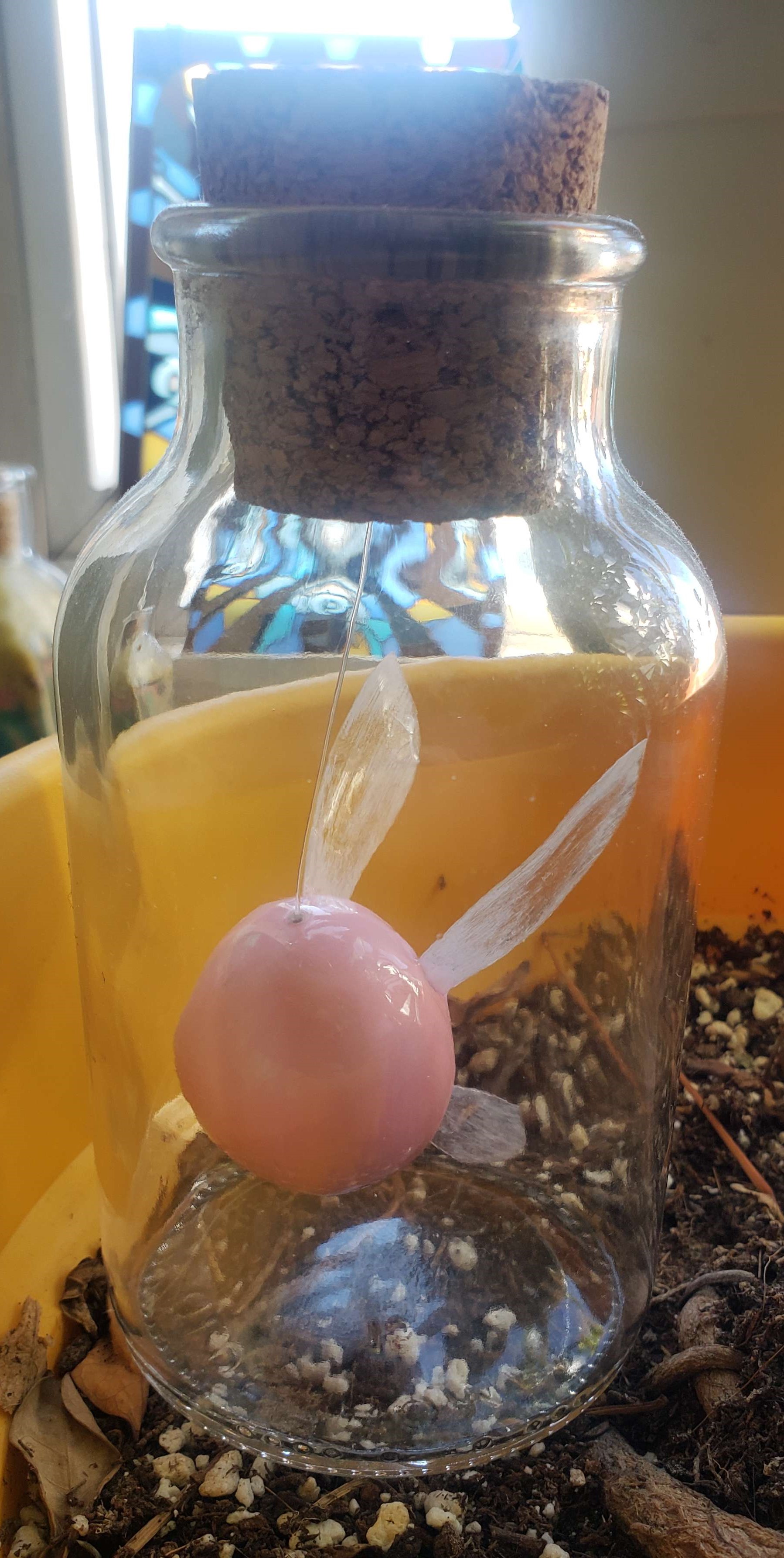 Fairy In A Bottle